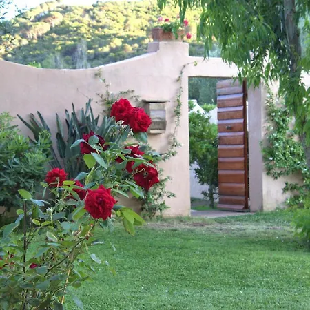Residenza La Limonaia-3